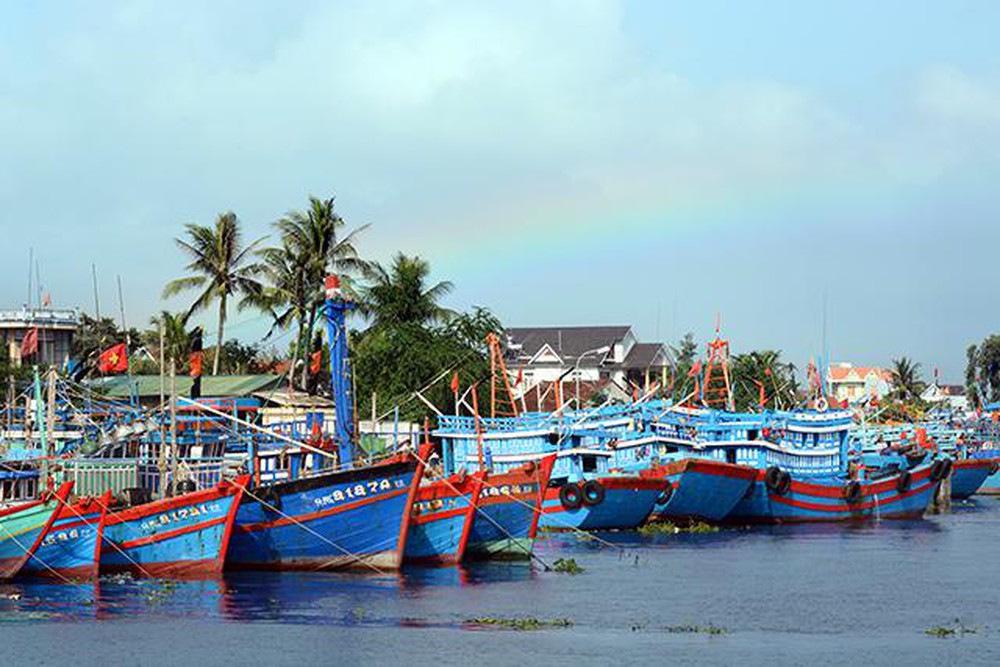 Thủ tướng phê duyệt nhiệm vụ lập Quy hoạch hệ thống cảng cá, khu neo đậu tàu cá